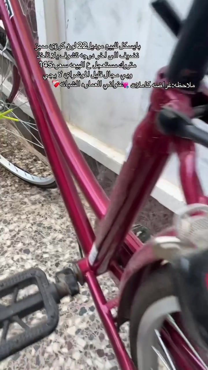 بايسكل حجم26 موديل22 لون كرزي مثل ما موضح بل فديو غراضه كامله الشراي يجي خاص السعر موجود بل فديو وبي مجال قليل🤍🔥


**إذا كنت صاحب هذا الإعلان وتريد حذفه لأي سبب، رجاءا أرسل رسالة إلى الدعم الفني**