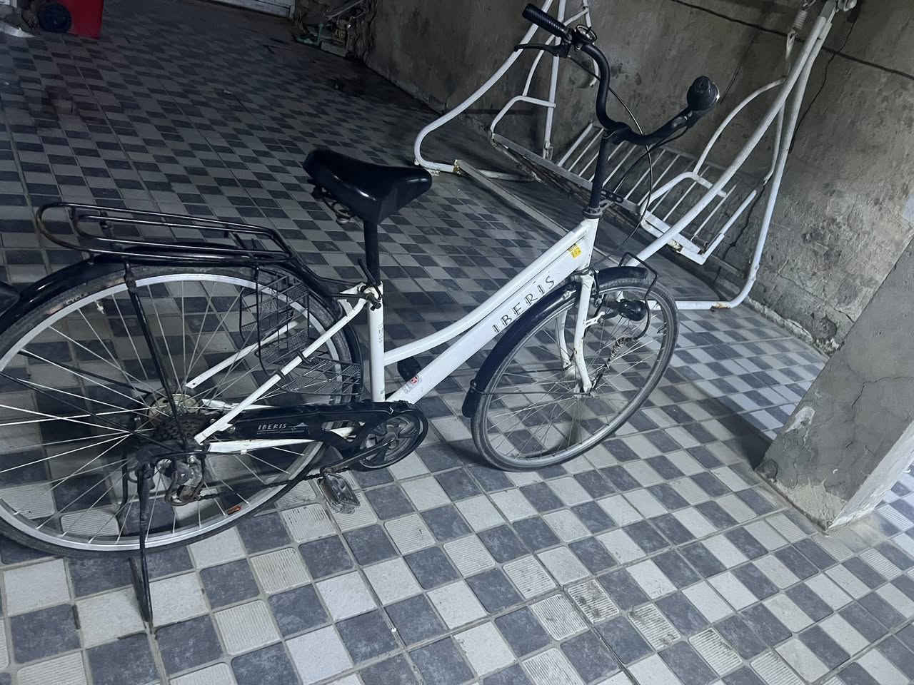 بايسكل للبيع.                                                                     بناتي حجم 27فول مواصفات مابدل اي شي مكان                           حي العامل شارع 7 نيسان السعر 110 و بي مجال                          ادخل خاص


**إذا كنت صاحب هذا الإعلان وتريد حذفه لأي سبب، رجاءا أرسل رسالة إلى الدعم الفني**