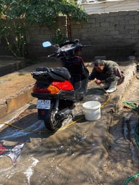 فراشة فحل • ١٤٠ • سلف جديد