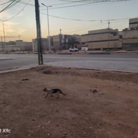 ملحق الفارس كربلاء • ٢٥٠م • واجهة ٢١م