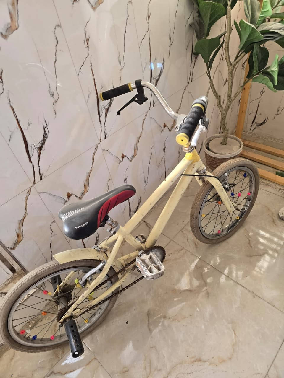 السلام عليكم اخر ماتبقى متضايقين وباقيات بالباب الي يفيدنه يجي ياخذهن  وينطي السعر الي يعجبه المكان بغداد جميله


**إذا كنت صاحب هذا الإعلان وتريد حذفه لأي سبب، رجاءا أرسل رسالة إلى الدعم الفني**