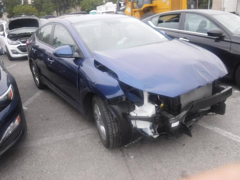 السلام عليكم للبيع النترا 2020 ورد امريكي معوقين بعد لها ثلاثه اشهر تصير حره راعيها موجود بيها خمس قطع ***********. السعر 120وبيه مجال
