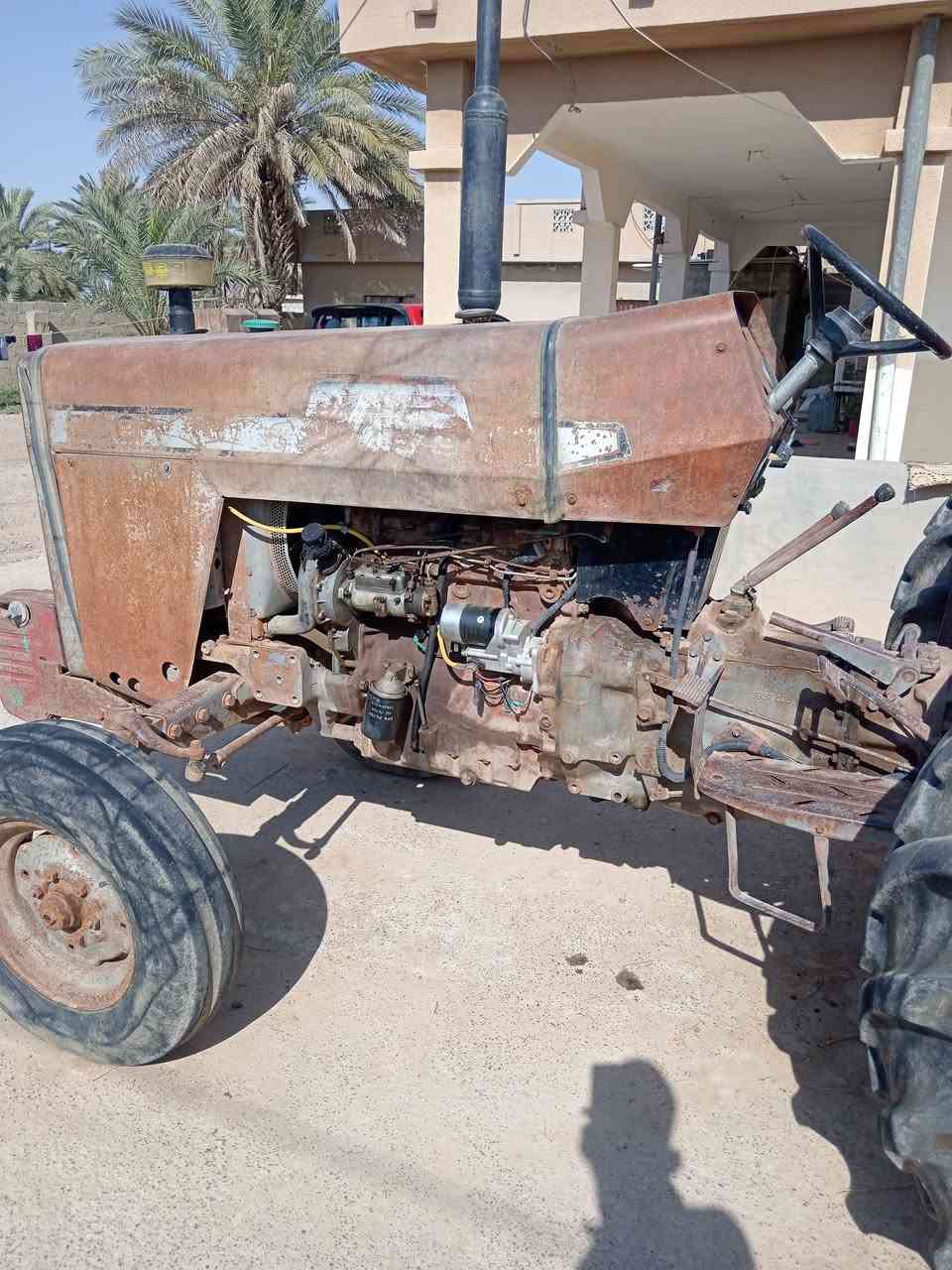 موركسن للبيع السعر 11 بسمي شرط التحويل ***********
