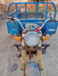 ستوته • موديل12 • كوت انوار الصدر