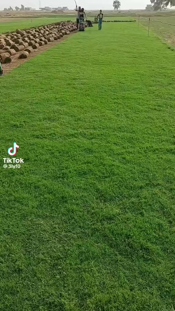 ثيل طبيعي جميع الانواع والتوصيل لجميع المحافظات العراقية للاتصال عل رقم ***********
