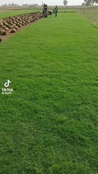 ثيل طبيعي جميع الانواع والتوصيل لجميع المحافظات العراقية للاتصال عل رق...