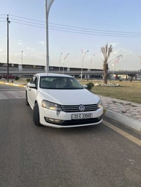 باسات • ٢٠١٥ • بدون صبغ