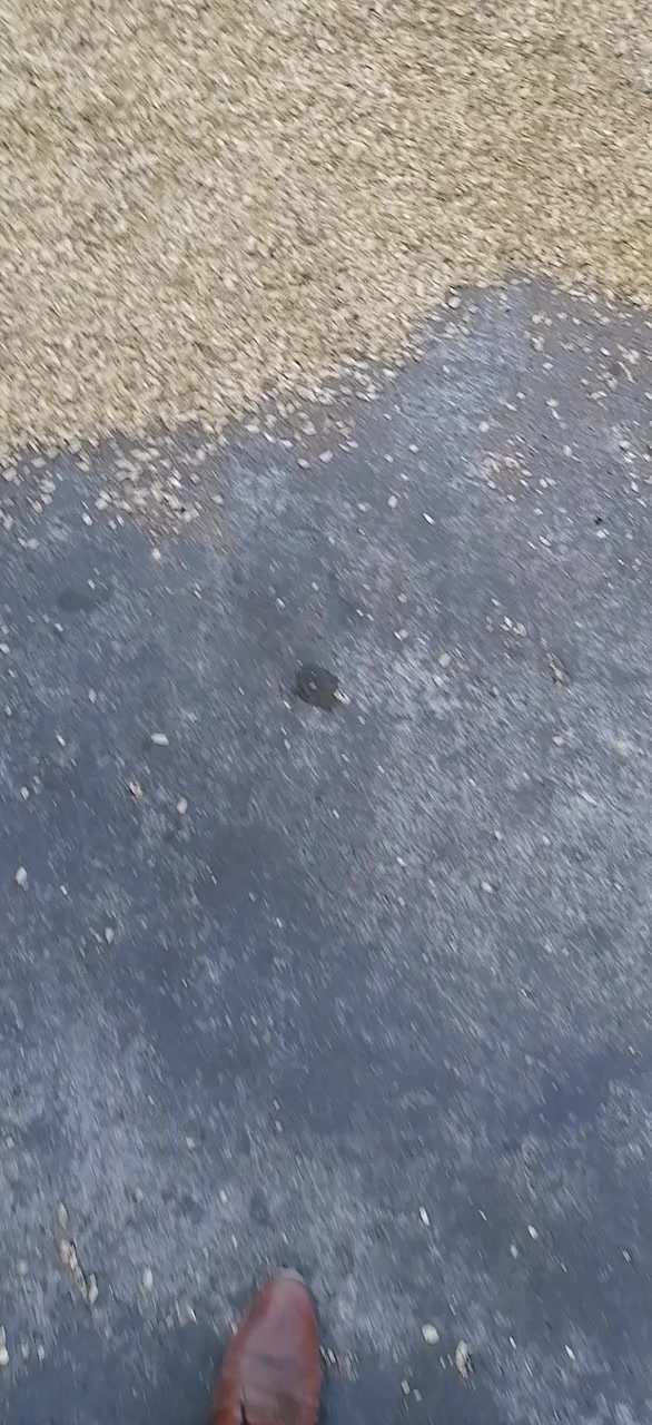 🔥 فحم شیشة مصنوع من فستق إیراني عالی الجودة 🔥  
تستمتع بتجربة شیشة فریدة مع فحمنا المصنوع من الفستق الإیراني!  
✔️ یحترق ببطء ودون انبعاث روائح مزعجة.  
✔️ یوفر طعمًا نقیًا ولا یؤثر على نکیة المعسل.  
✔️ خالی من المواد الکیماویة الضارة.  
✔️ تشغیل سریع وسهل.  

✨ جودة طبیعیة من الفستق الإیراني! ✨  
لطلب المنتج أو الاستفسار، تواصل معنا عبر الرسائل الخاصة أو التعلیقات.

الحد الأدنى لحجم الطلب 25 طنًا 

#فحم_شیشة #فحم_فستق #فحم_طبیعي #جودة_عالیة #إیران


**إذا كنت صاحب هذا الإعلان وتريد حذفه لأي سبب، رجاءا أرسل رسالة إلى الدعم الفني**