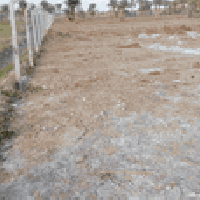 العلاك • دونمين • طابو زراعي