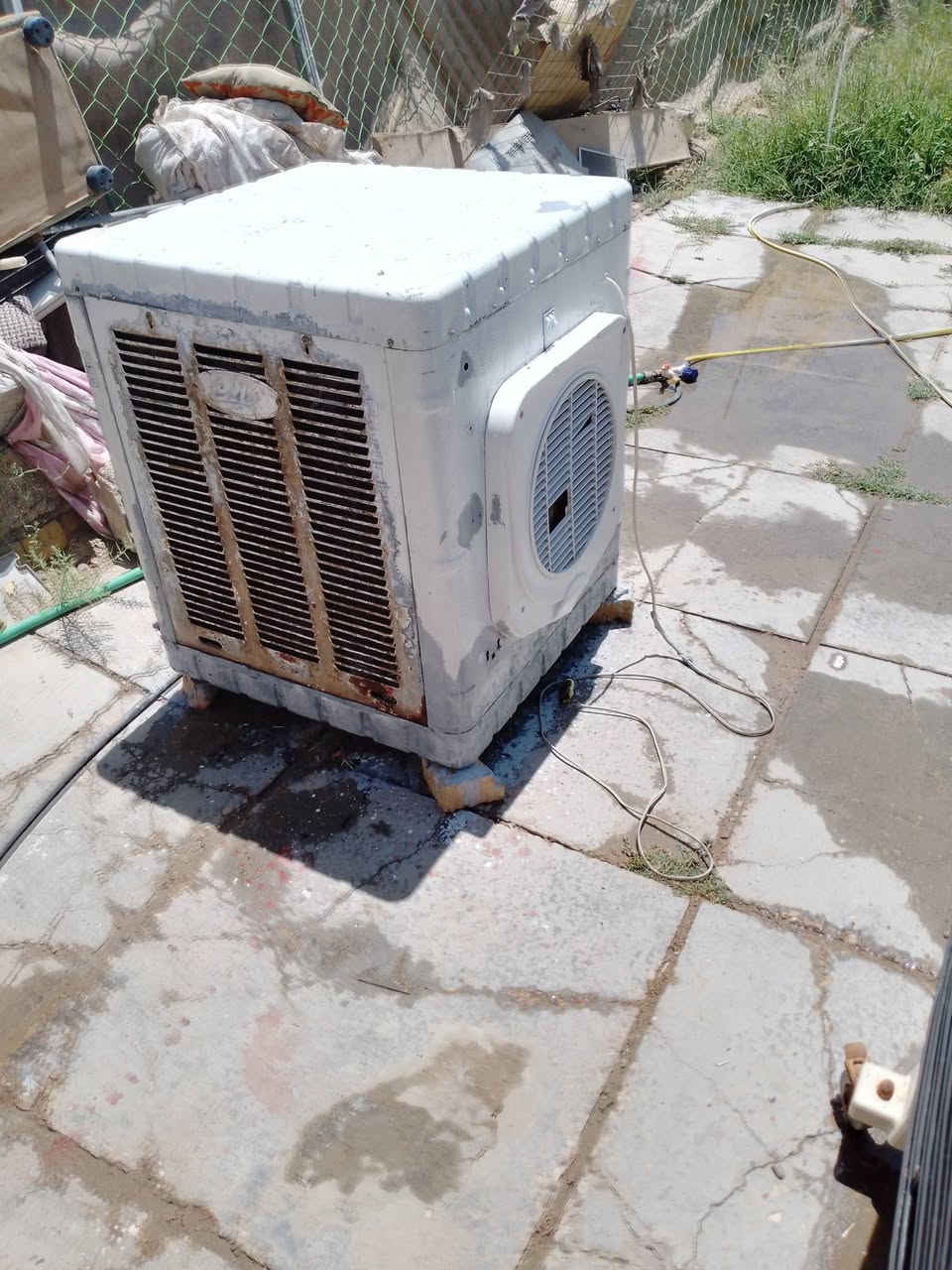 للبيع كلمن وسعره استفسار. وتساب  ***********

