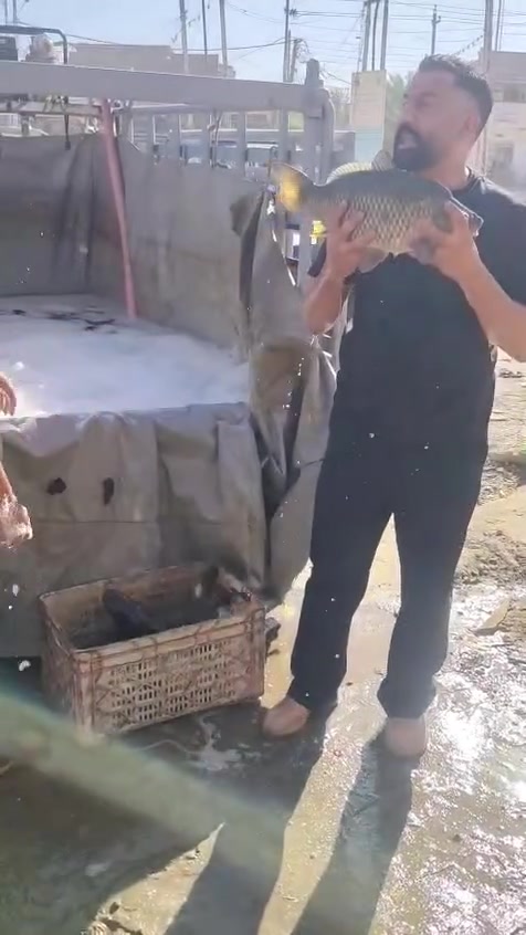 اسماك الرحمن
سمك حي اقفاص 4000🐟🐟
سمك شوي اب 6000🐟🐟
ودجاج حي مشوي على الفحم 10.000🐔🐔
يوجد توصيل
 ***********
***********
***********
العنوان/ فلوجه حي نزال تقاطع نهر فليح 
وتجهيز كافت المناسبات

