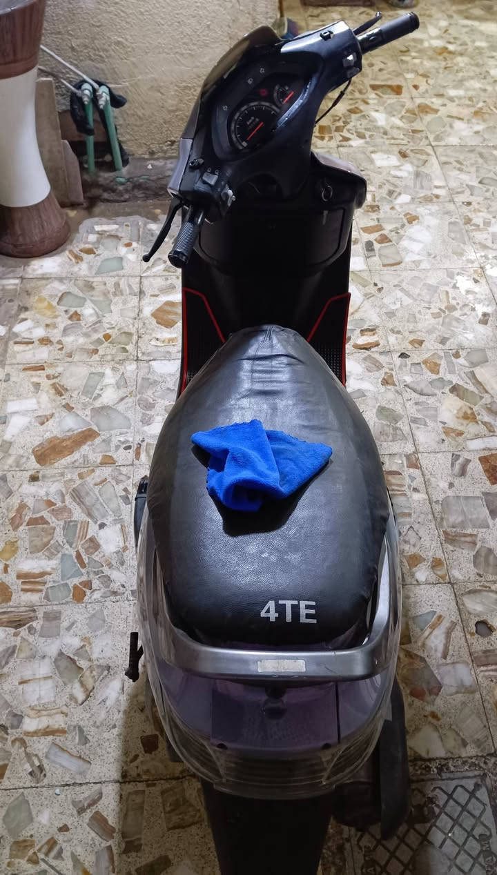 فراشة فحل حاوية للبيع 
المكان نجف 
رقم الهاتف *********** بي واتساب 
السعر 650 وبيه مجال
