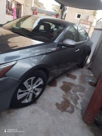 التيما • ٢٠١٩ • رقم اربيل