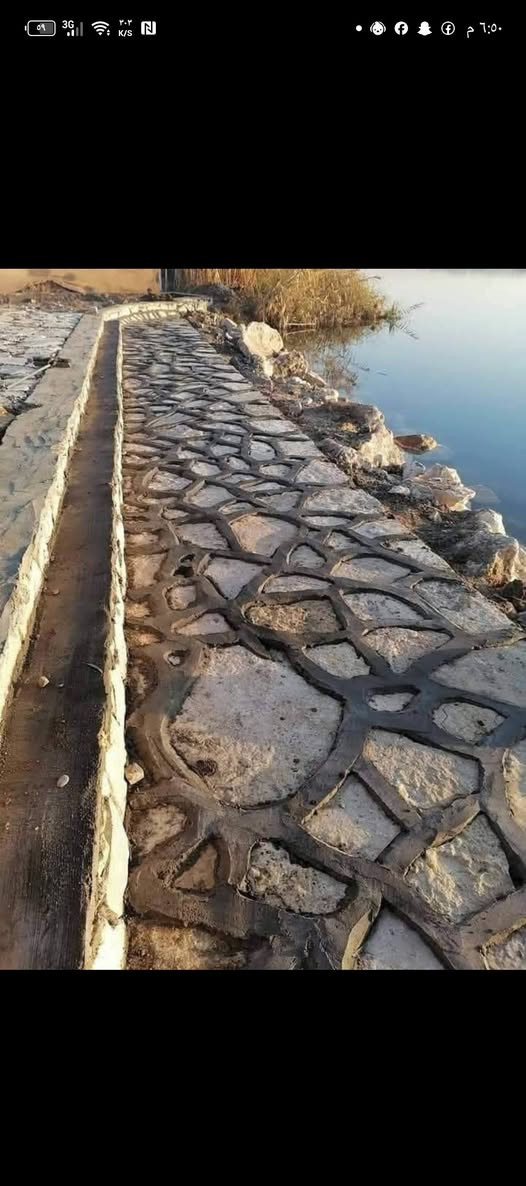 ***********+++***********
