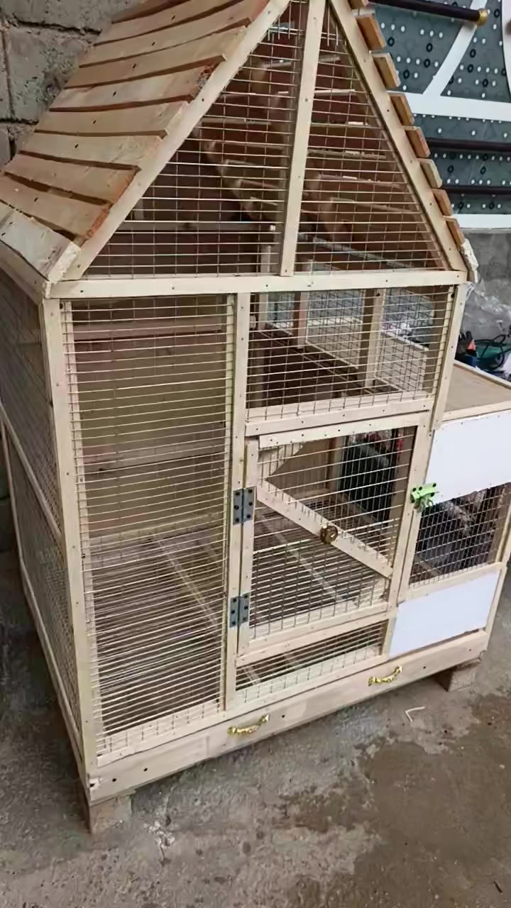 التفاصيل داخل الفديو


**إذا كنت صاحب هذا الإعلان وتريد حذفه لأي سبب، رجاءا أرسل رسالة إلى الدعم الفني**