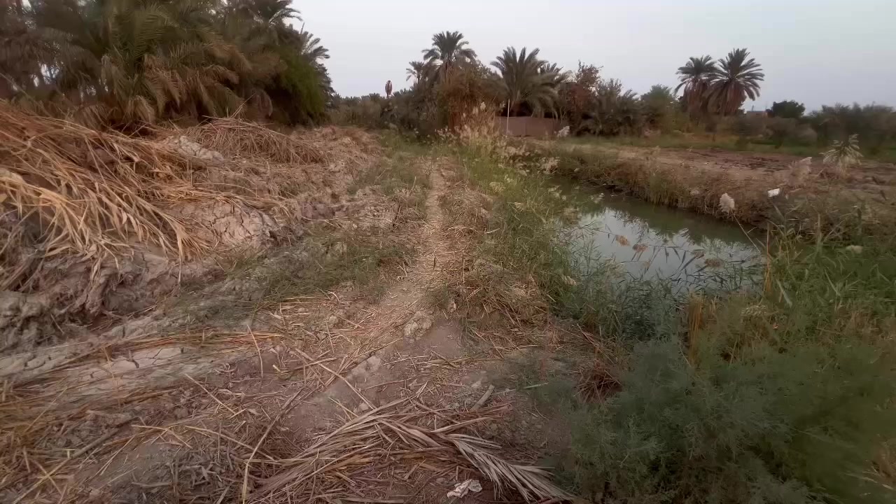 السلام عليكم
بستان لبيع بسديناويه قرب مدرسه المبدأ باقي تفاصيل خاص ***********
