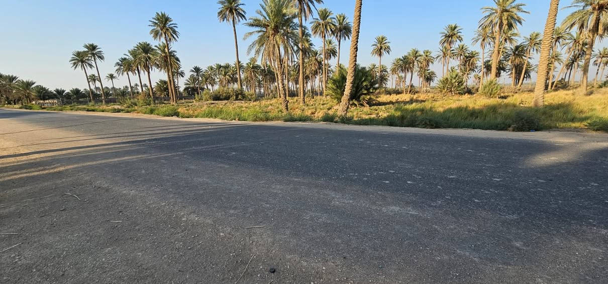 السلام عليكم 🤝

(2)دونم و800 متر للبيع طابو زراعي تحويل مباشر ✅✅✅

على تبليط مباشر 🛣️🛣️🛣️

موقع مميز ومرتب 💯💯💯

العنوان كربلاء منطقه الجدار  تبعد عن الشارع النجف تقريبا 2كيلو ونص تقريبا ✅✅✅

عامود 1141 وتنزل ع الارض كلها تبليط 🛣️🛣️🛣️

واجهيه الارض (30) متر ع تبليط مباشر 🛣️🛣️🛣️

كافه الخدمات متوفره كهرباء وماء مدارس منطقه سكنيه 🌆

للأستفسار آكثر الأتصال على أرقآم التأليه 

0️⃣7️⃣7️⃣2️⃣5️⃣9️⃣8️⃣1️⃣9️⃣4️⃣5️⃣ابو باقر
0️⃣7️⃣8️⃣0️⃣8️⃣9️⃣9️⃣8️⃣8️⃣1️⃣8️⃣

وكذالك نستقبل جميع العروض لديكم في كافه مناطق كربلاء المقدسه 🏬🏬🏬🏬🏬🏬
