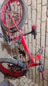 بسكليت • تاير عوزه