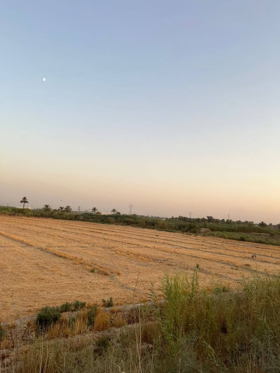 للبيع: أرض 11 دونم طابو ملك صرف
📍 المدائن - قرية الدرعية الثانية
✅ واجهة 140 متر | خدمات كاملة
✅ تصلح (مخازن - معامل - مزارع)
🏁 تحويل مباشر ثاني يوم للمشتري
📞 للتواصل وتساب: [***********]
