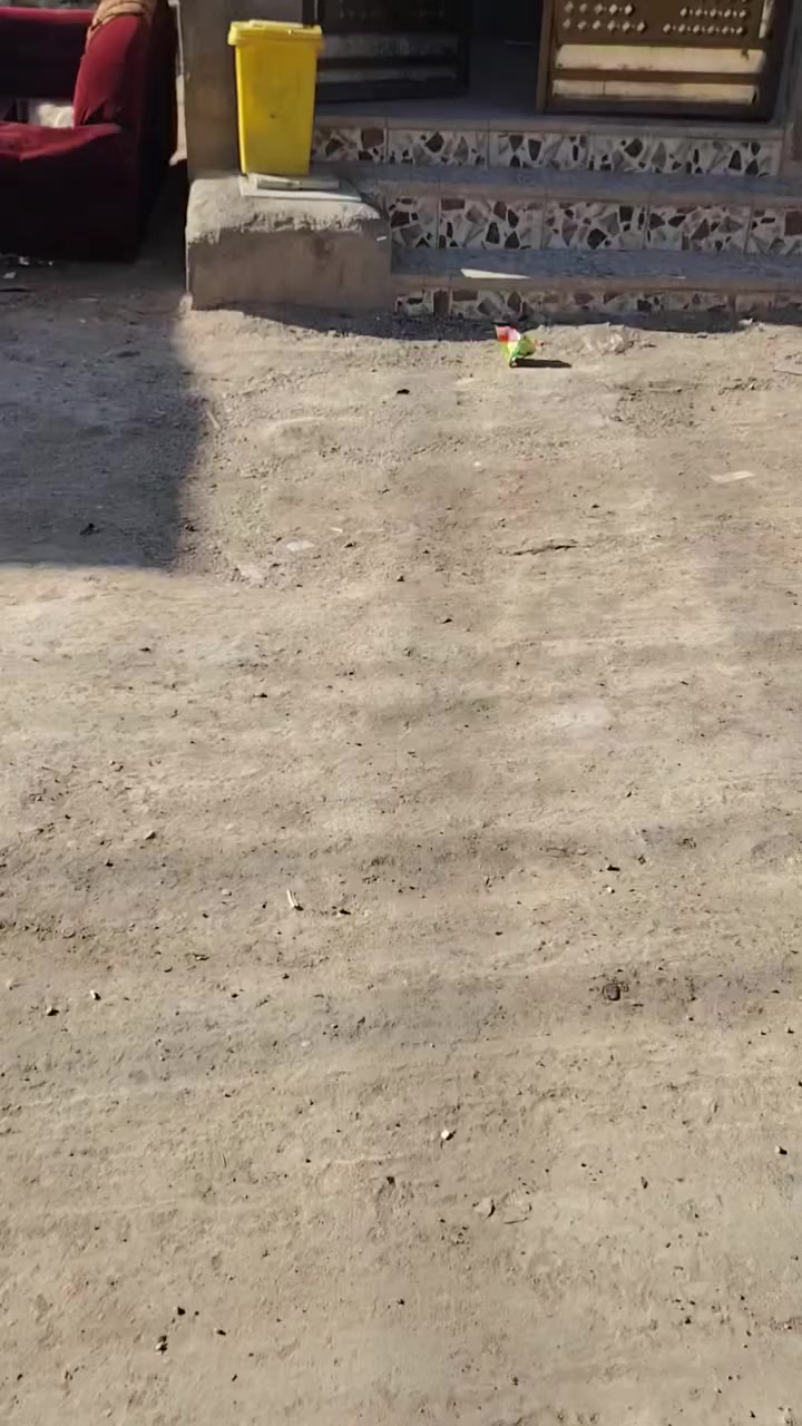 *********** الاستفسار على هذا البيت يتصل على هذا الرقم وانا بخدمتكم السعر 55 وبمجال قليل
