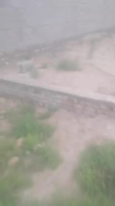 غرفتين وصاله ومطبخ وبراني ومجمع صحيات ومنور وكراج *********** الموقع شافعيه معمل خدمات كامله ماي وكرهباء وتبليط واناره ومولد شارع سعر مناسب جداً مساحه 200متر
