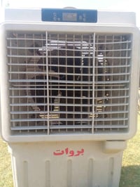 مبرده • شغالة • بعد المعاينه