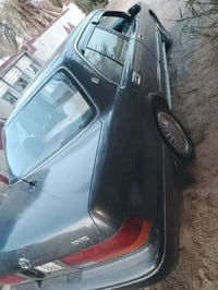 ارنب • ١٩٩٣ • قضاء الهلال