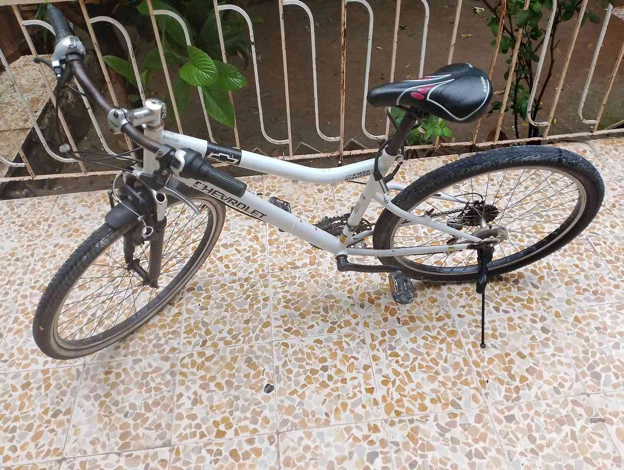 السلام عليكم اصحاب الذوق الرفيع دراجة هوائية (بايسكل) 
نوع شوفرليت امريكي ثقيل 
كيرين لشة لا كسر ولا لحيم بايسكل جديد
سعرو 85 
للتواصل: *********** للمكالمات
او *********** واتساب
