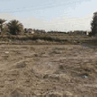 الرمادي الجزيرة • ٥٥٠م • طابو زراعي