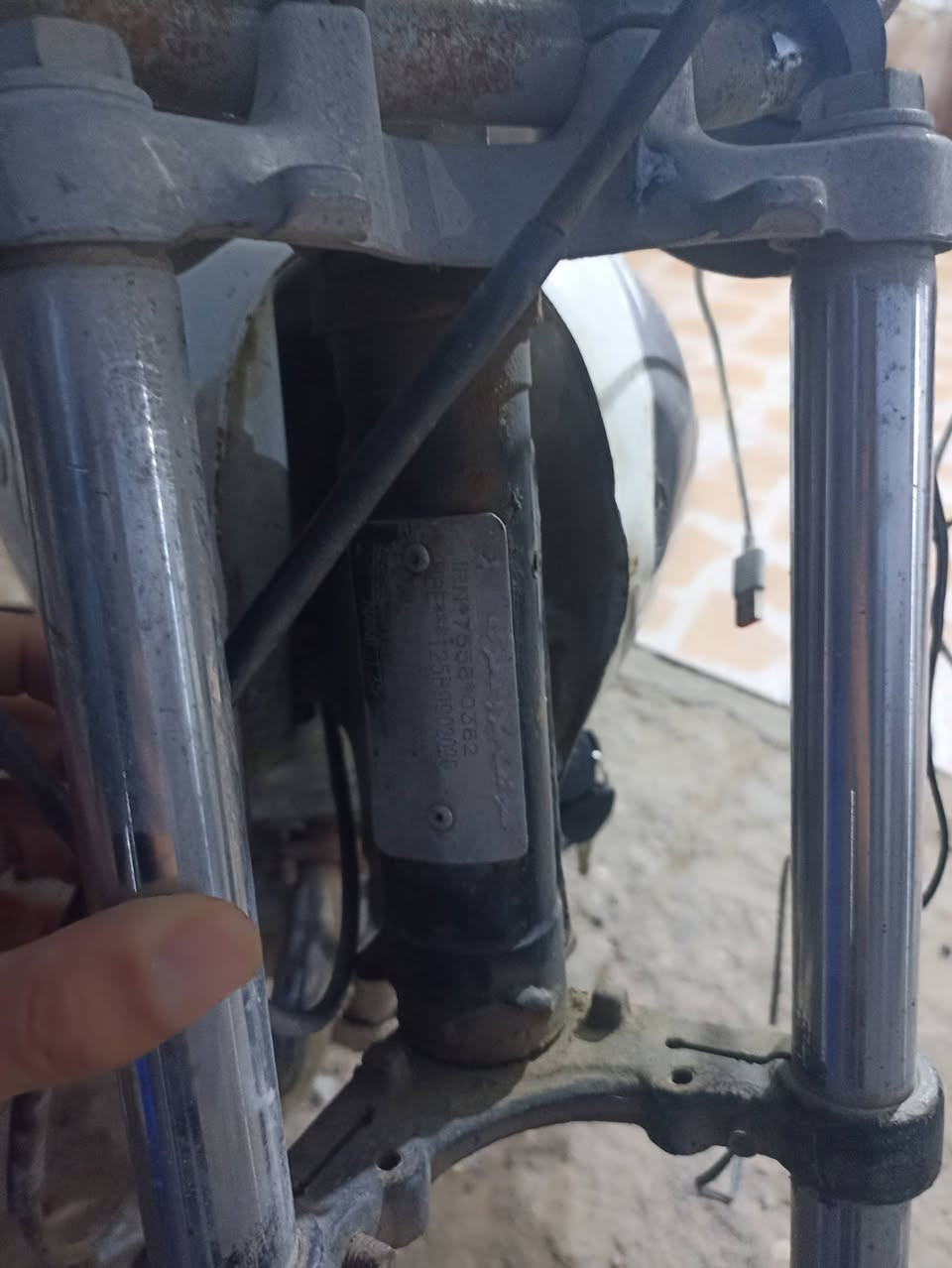 سلام عليكم 
دراجه ايراني اوراق اصولي مكينة رابيدو  وكزوز رابيدو وعربانه رابيدو مختمه شاصي نامه شلامجي اصلي اوراق كامله تاخذ كبل ترقم دراجه خير من الله سعرها ٦٥٠ وبيها مجال 
متواجد هنا واتصال او واتساب ***********
