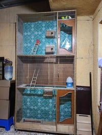 قفص • طيور الحب • مدينه الصدر