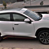 جيتور لاكجري • ٢٠٢٤ • كفالة عام