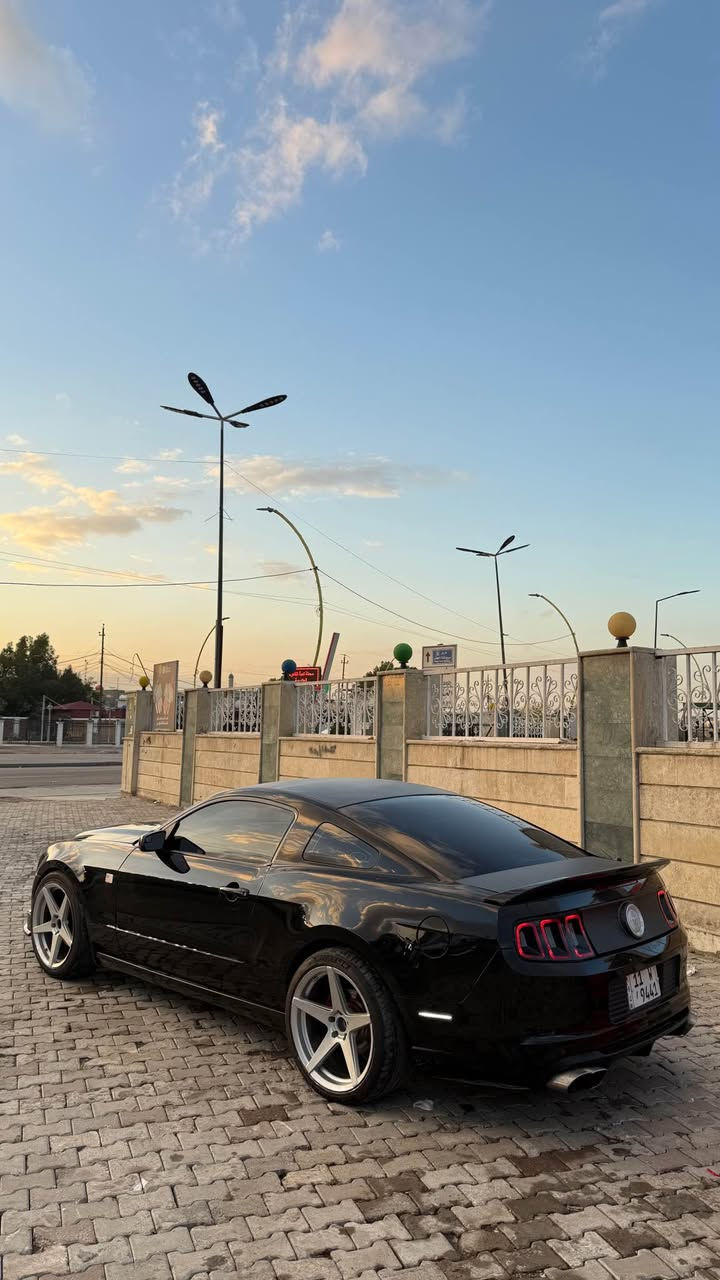 سلام عليكم موستنك 6 سلندر  موديل 2013 للبيع فقط رقم بغداد
حادثه جاملغ وبنيد قطعتين صبغ بدون شاصي 
بدون ايرباك 
مواصفات 
شوته + هدرز
برمجه سيف تيتو 
بواري ٣ انج 
عليه نانو سيراميك 
تخم تاير ويل فيوسن 
لايت متغير زنون عالي ناصي 
تبريد شغال + تدفئه 
لد تكساس 
سياره جاهزه 
مكاني بغداد 
السعر 98 وبيه مجال 
*********** بغداد, العراق
