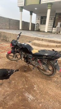 دايوان • دباب • للبيع