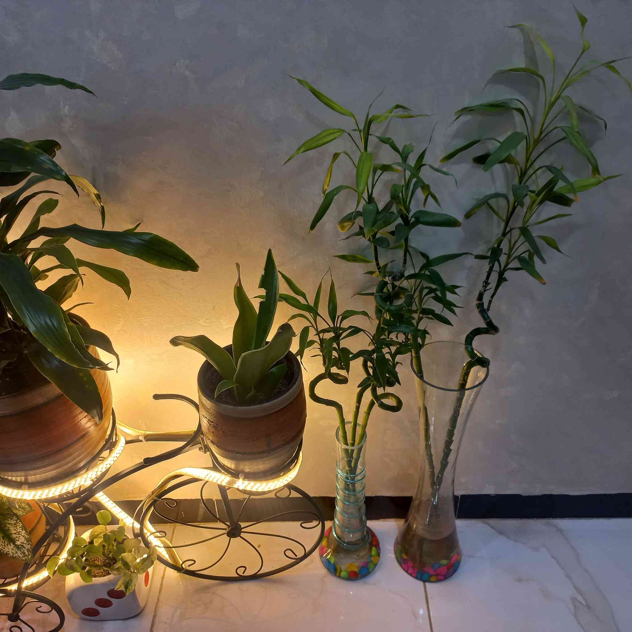 سلام عليكم زرع للبيع


**إذا كنت صاحب هذا الإعلان وتريد حذفه لأي سبب، رجاءا أرسل رسالة إلى الدعم الفني**