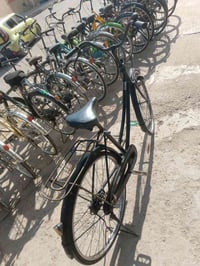 باسكل • اسود طافي • بعقوبة بهرز