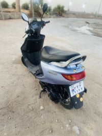 فراشة بلدي • ختم واحد • نجف الاشرف