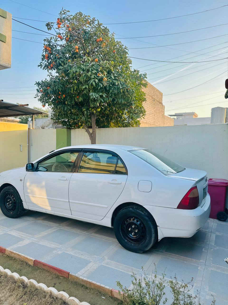 كورلا بيكاتشو ٢٠٠٦
رقم اربيل الرقم جديد
***********
محرك ١٨ الحجم المرغوب 
سنويه رقم دفتر بانزين كله جاهز
كير محرك بالشرط
سساره جاهزه وحلوه
الضرر ٤ قطع صبغ بدون دواخل
سياره حلوه مال بيت
مكان السياره كركوك 
السعرر ٨٦ وبي مجال
