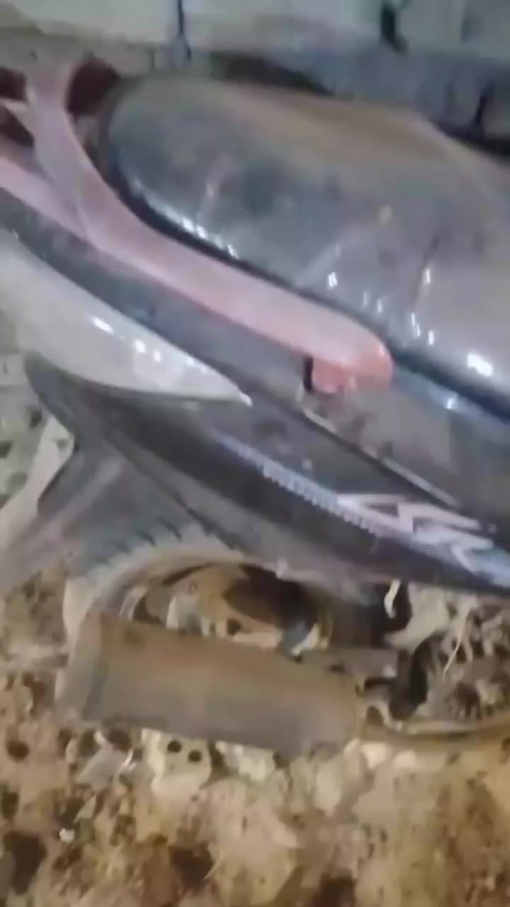 جيفور البيع عاوزها فقط السلف شراي تعال خاص 
سعر 200وبيه مجال


**إذا كنت صاحب هذا الإعلان وتريد حذفه لأي سبب، رجاءا أرسل رسالة إلى الدعم الفني**