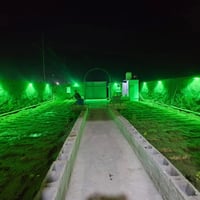 الديوانية • ٢٠٠م • سند ٢٥