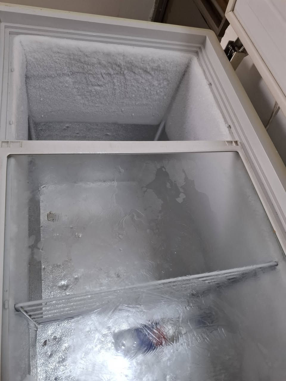 مجمده ٨قدم بلاديه مامصلحه برغي مامفتوح بيه شرط علفحص والتجميد الشراي يتفضل خاص اويتصل ***********بغدادالبلديات
