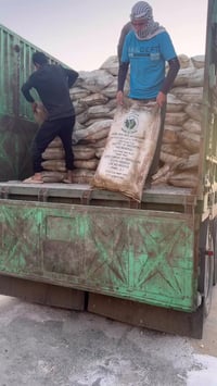 يتوفر لدي سماد ابيض عراقي 07827903637