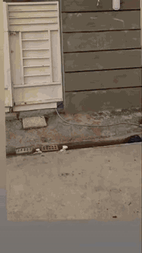 بيت للبيع بسعر مناسب مساحه ٢٠٠ متر الصطح شتايكر جديد سويانا سعر ٤٥بي م...