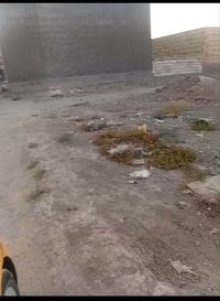 علويه شريفه • ٢٠٠م • طابو زراعي