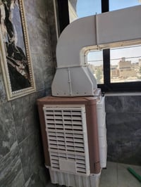 شغاله • نظيفه كلش
