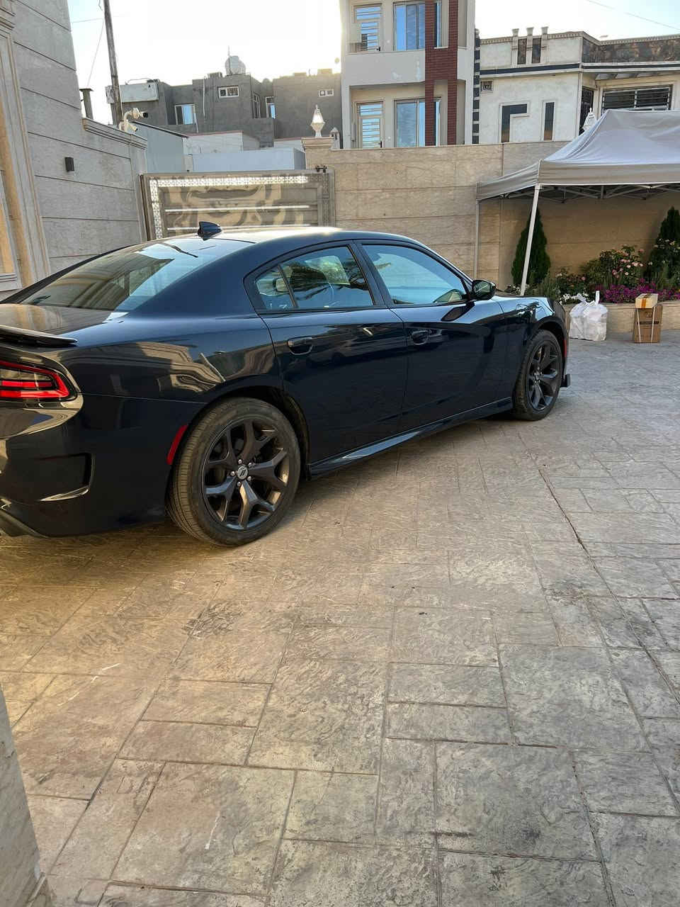 جارجر. Gt 2019
ماشيه 39 حادث جاملغ امامي راجع
 بارد فقط بدون صبغ بدون تبديل بدون ايرباك 
شاشه جبيره 
تحكمات ستيرن 
جلد 
كامره + حساسات خلفيه 
بصمه + تشغيل عن بعد 
شفتات ستيرن 
بلوجكتر زنون بلادي 
مكينه 3600 
سياره جديده 
باسمي
238 و بيهة مجال

رقم صاحب سيارة ***********
