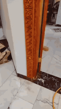 ✅ تعتبر حشرة الارضة من المشاكل المزعجة والمدمرة التي تؤثر على المنازل ...