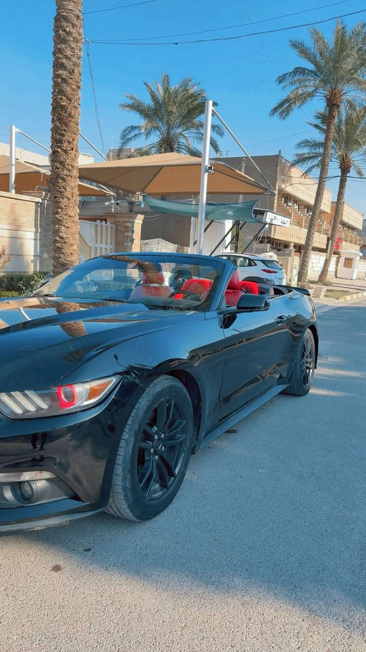 السلام عليكم
موستنك ايكو بوست بريميوم 2017 فول للاخير دشبول سبع الوان سستسم سماعاتBoos 
شاشه جبيره كشنات تدفئه تبريد السياره مابيها اي نقص كير ومكينه كافله ماشيه ٨٤ كيلو بيها جاملغات خلفيه صبغ بدون دواخل بدون ايرباك. صور الحادث بلمنشور السعر 128$مكان بغداد***********
