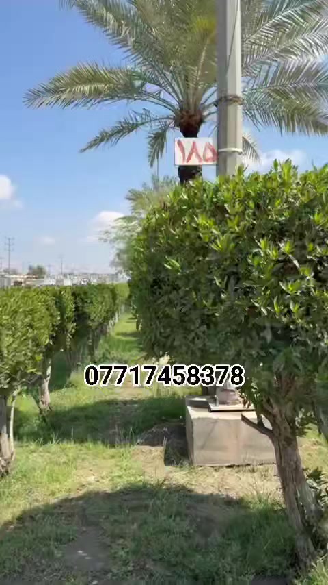 حسينيه للبيع ١١٠متر طابقين في كربلاء المقدسه الاتصال ***********
