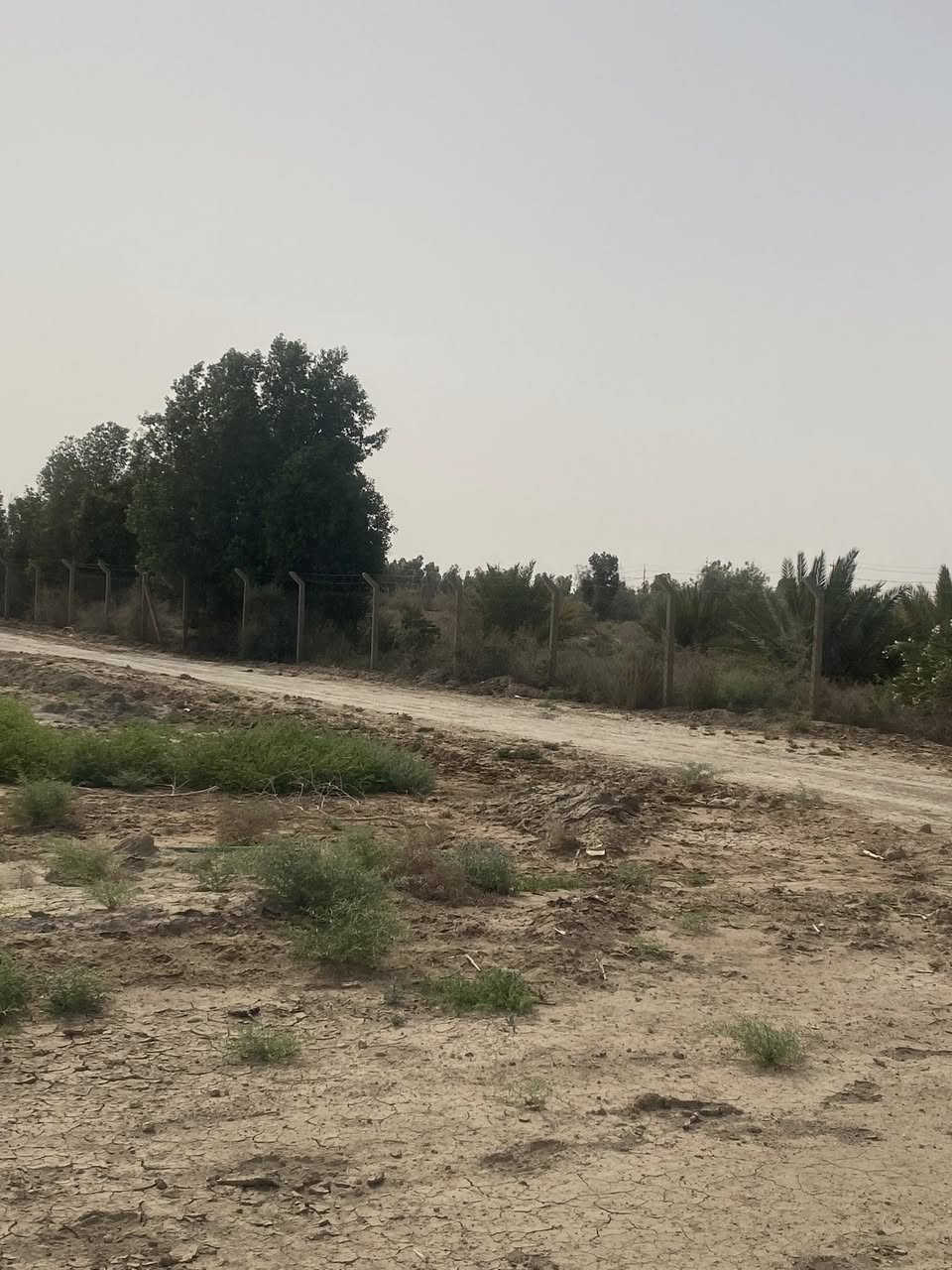 6دوانم زراعي للبيع واصللهن ماي وكهرباء مسيجات كلهن على طريق مدينة اور السياحيه سعر الدونم ب9 وبي مجال


**إذا كنت صاحب هذا الإعلان وتريد حذفه لأي سبب، رجاءا أرسل رسالة إلى الدعم الفني**